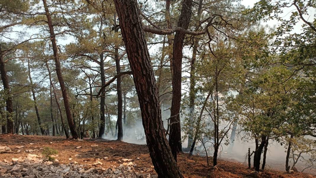 Memleketten yangın manzaraları... Orman yangınları her yeri sardı: Bolu, Bursa, Diyarbakır, İstanbul... 10